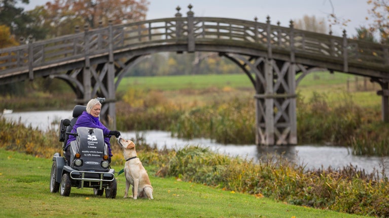 A lady sits in an all-terrain mobility vehicle (tramper) on the grass in front of Croome's iconic Chinese bridge with her dog in the autumn. Contains people.